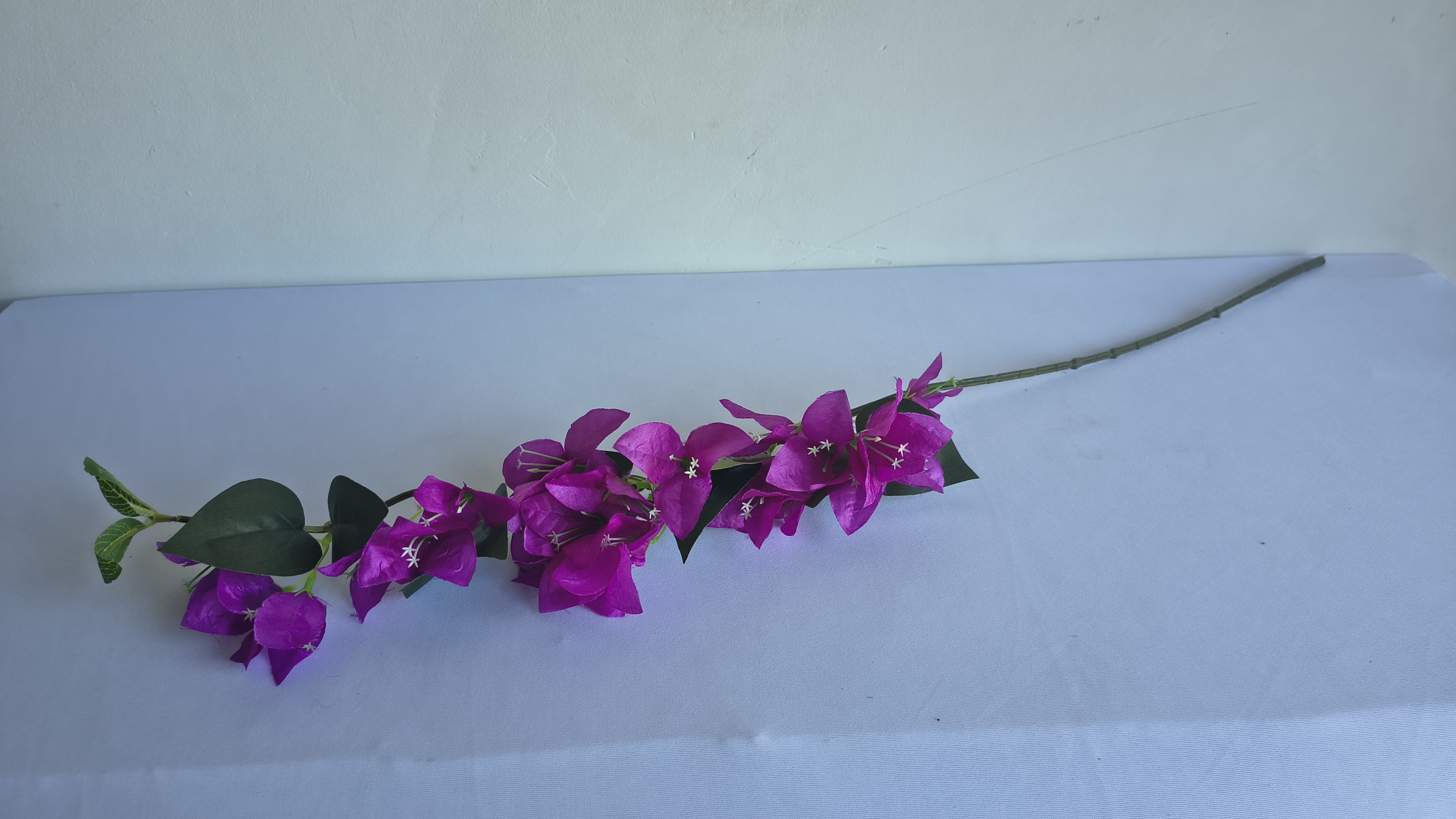 HASTE DE BOUGAINVILLE