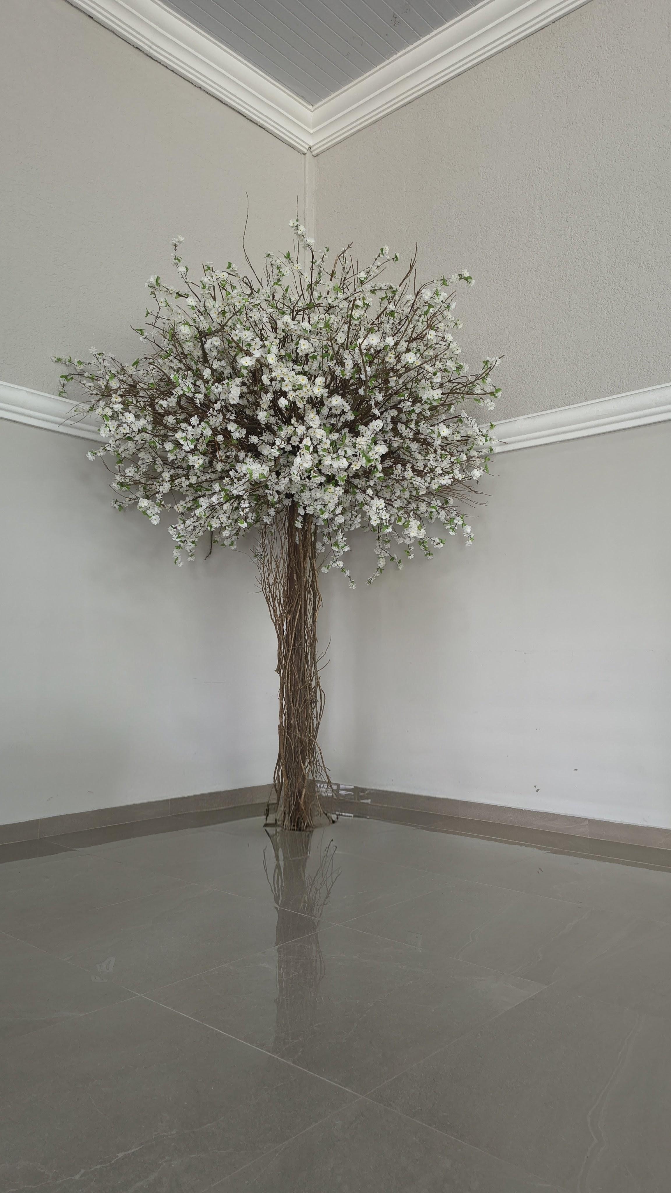 ARVORE CEREJEIRA TRONCO ALTO