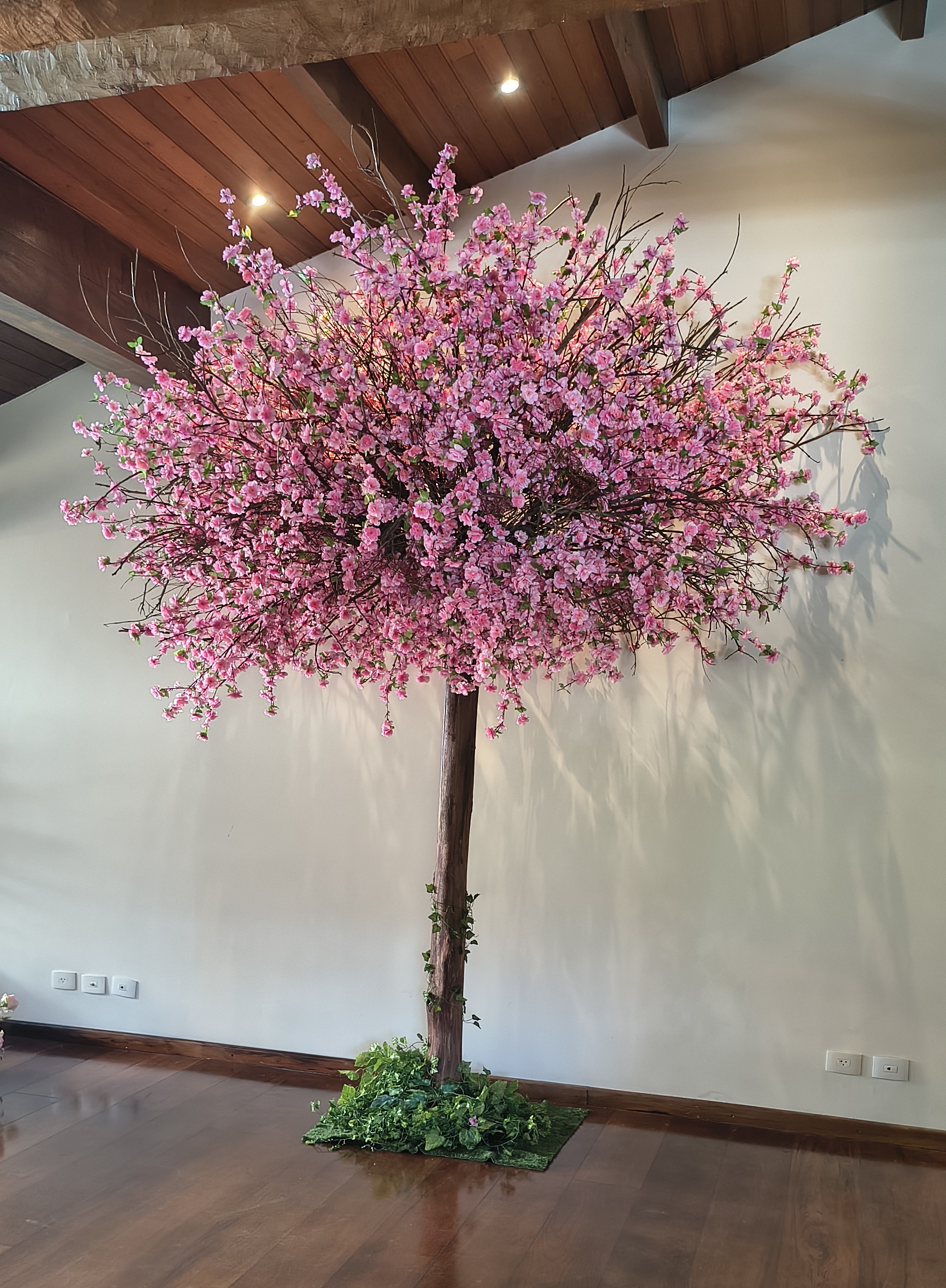 ARVORE CEREJEIRA TRONCO ALTO