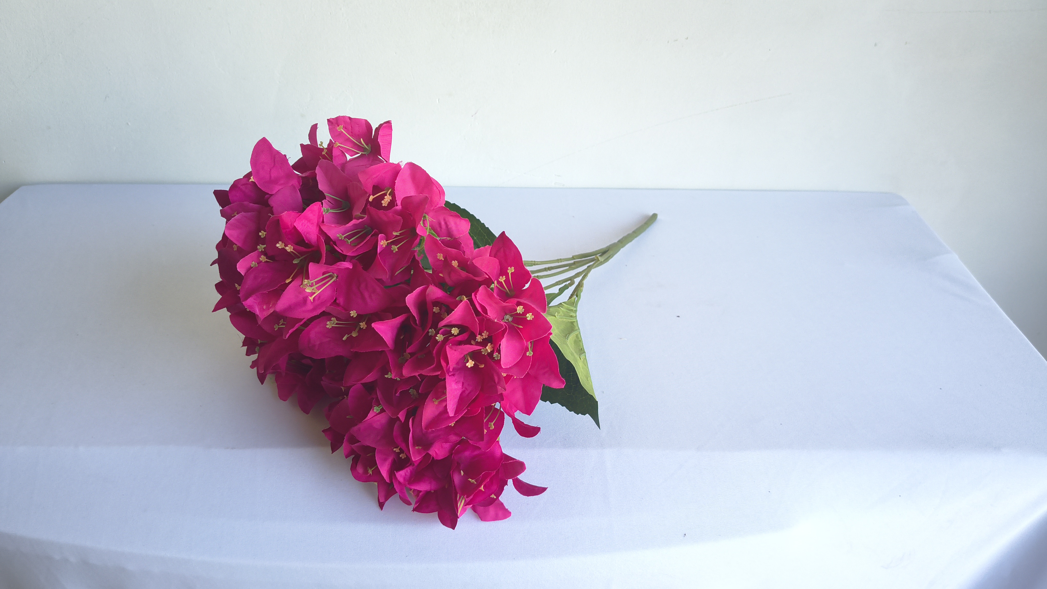 HASTE DE BOUGAINVILLE