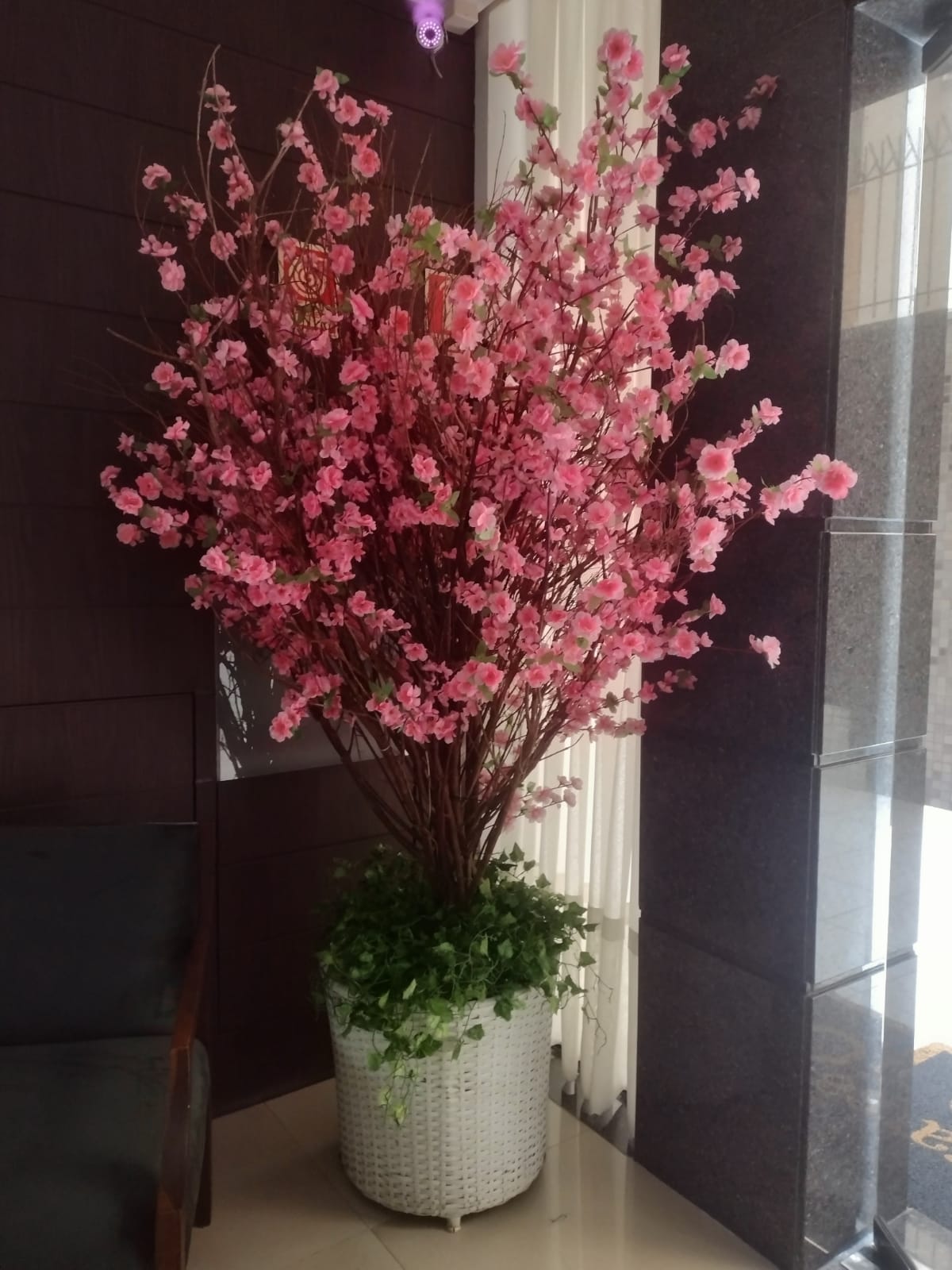 ARVORE DE CEREJEIRA MINI