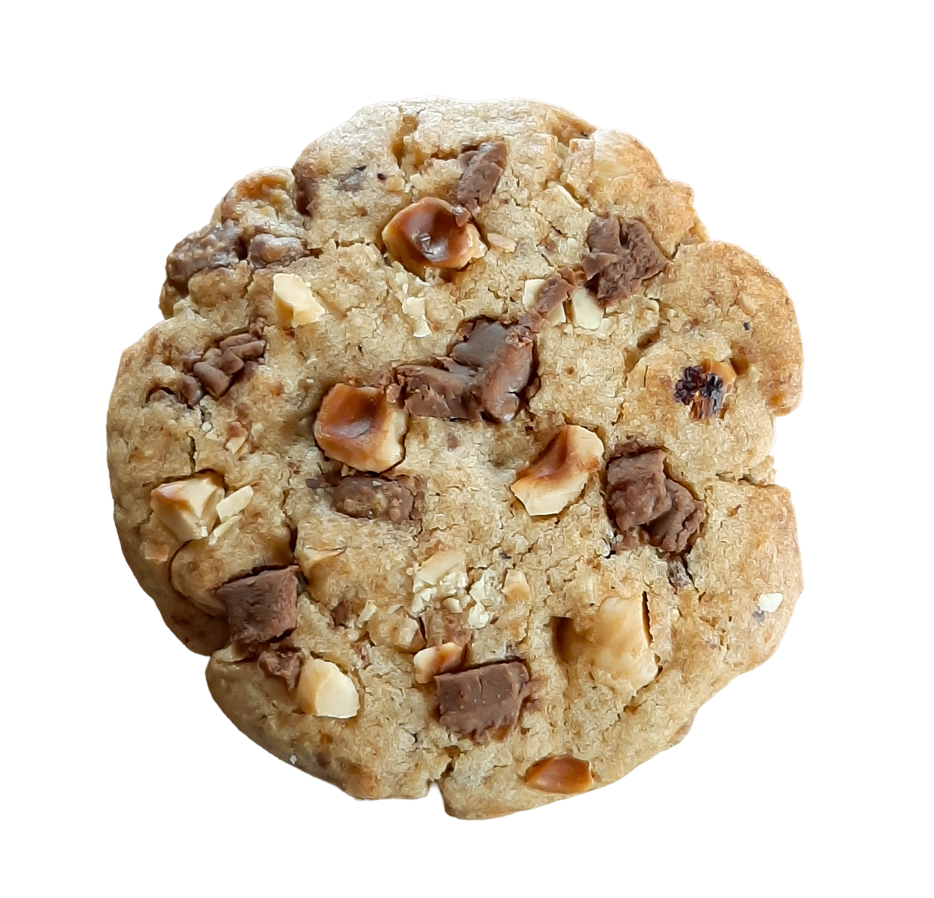 Cookie noisette - chocolat praliné