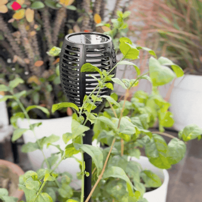 ARKAIA Solar LED Flame Garden Mashaal Light | 3-in-1 Installations