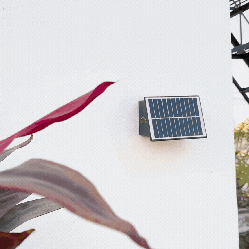 ARKAIA Solar Up Down 4 LED Wall Light