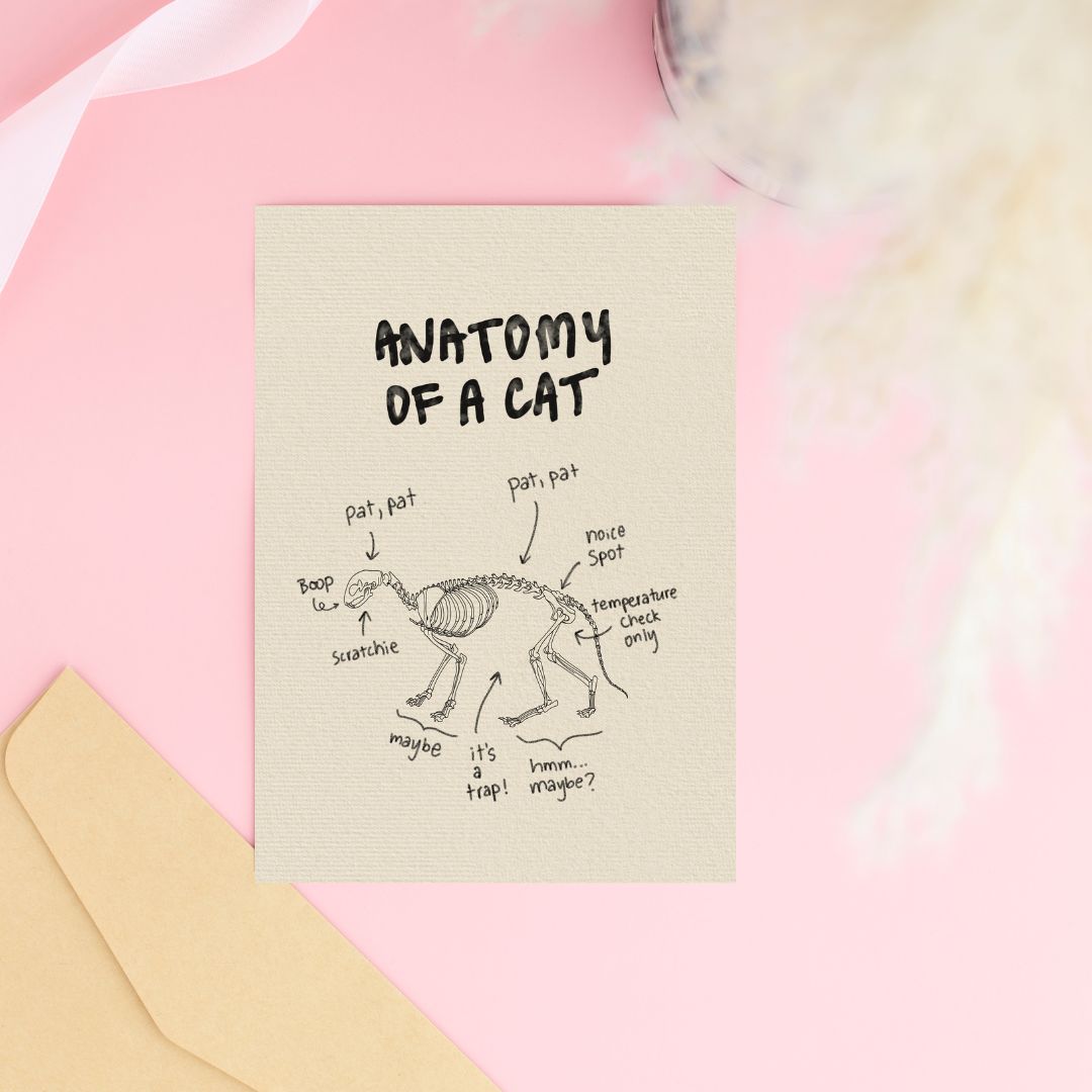 Anatomy of a Cat Greeting Card
