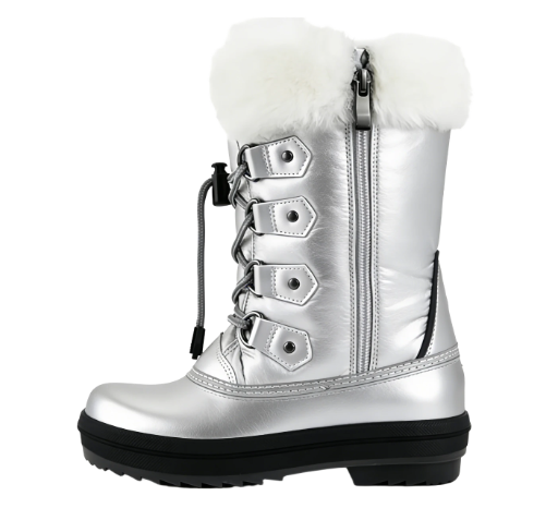 Silver Winter Snow Boot