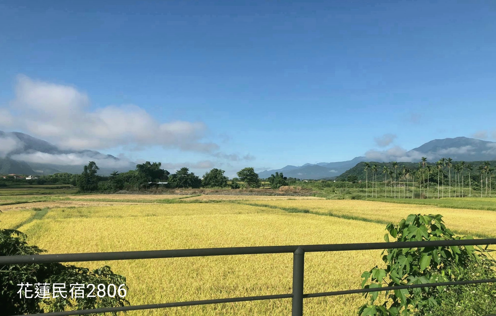 民宿與景觀