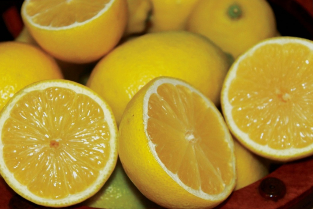 籌備中  ＊＊樹