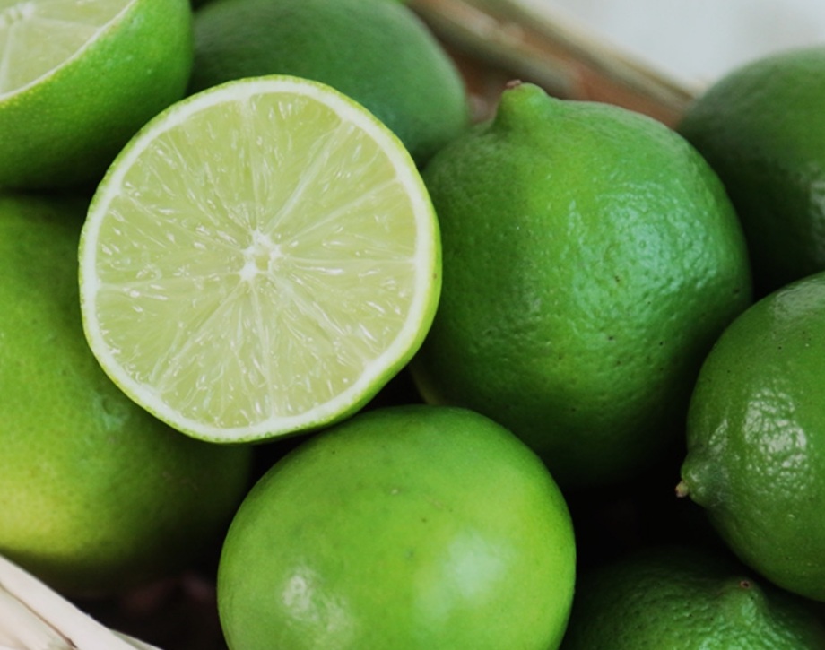 籌備中  ＊＊樹