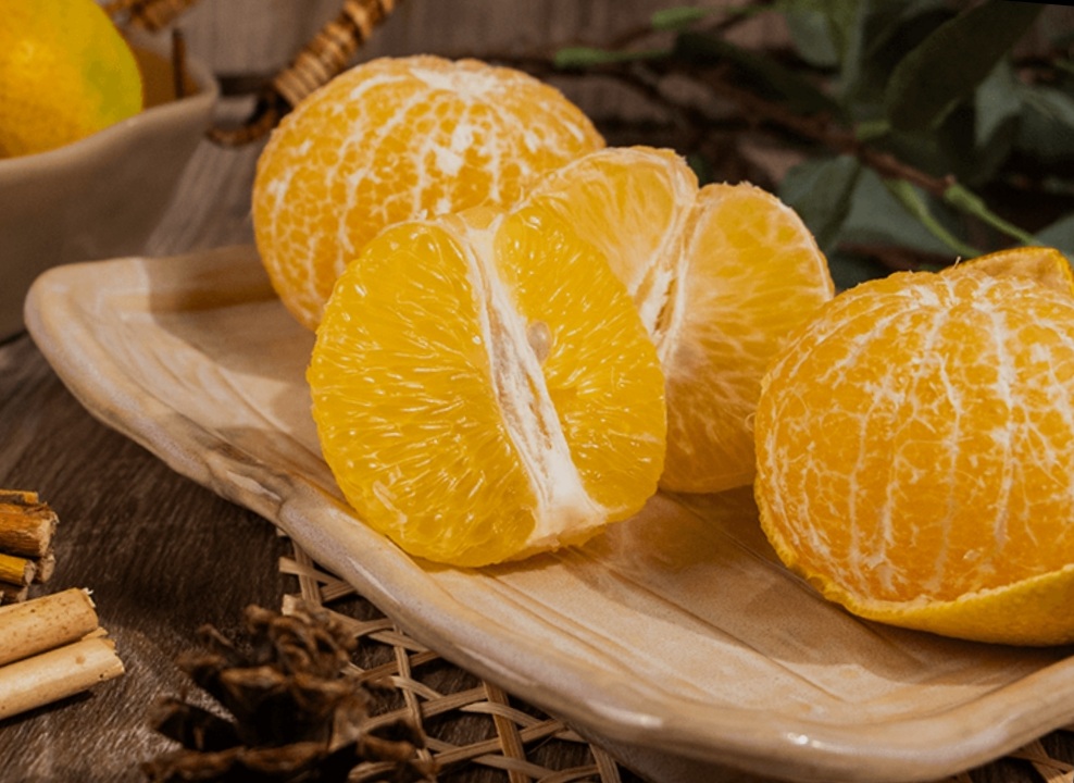 籌備中  ＊＊樹