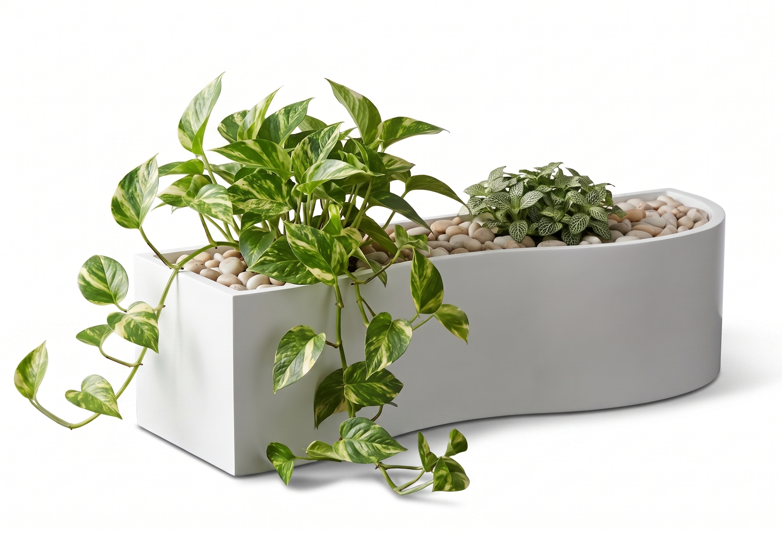 FRP Planter Arcline-2  