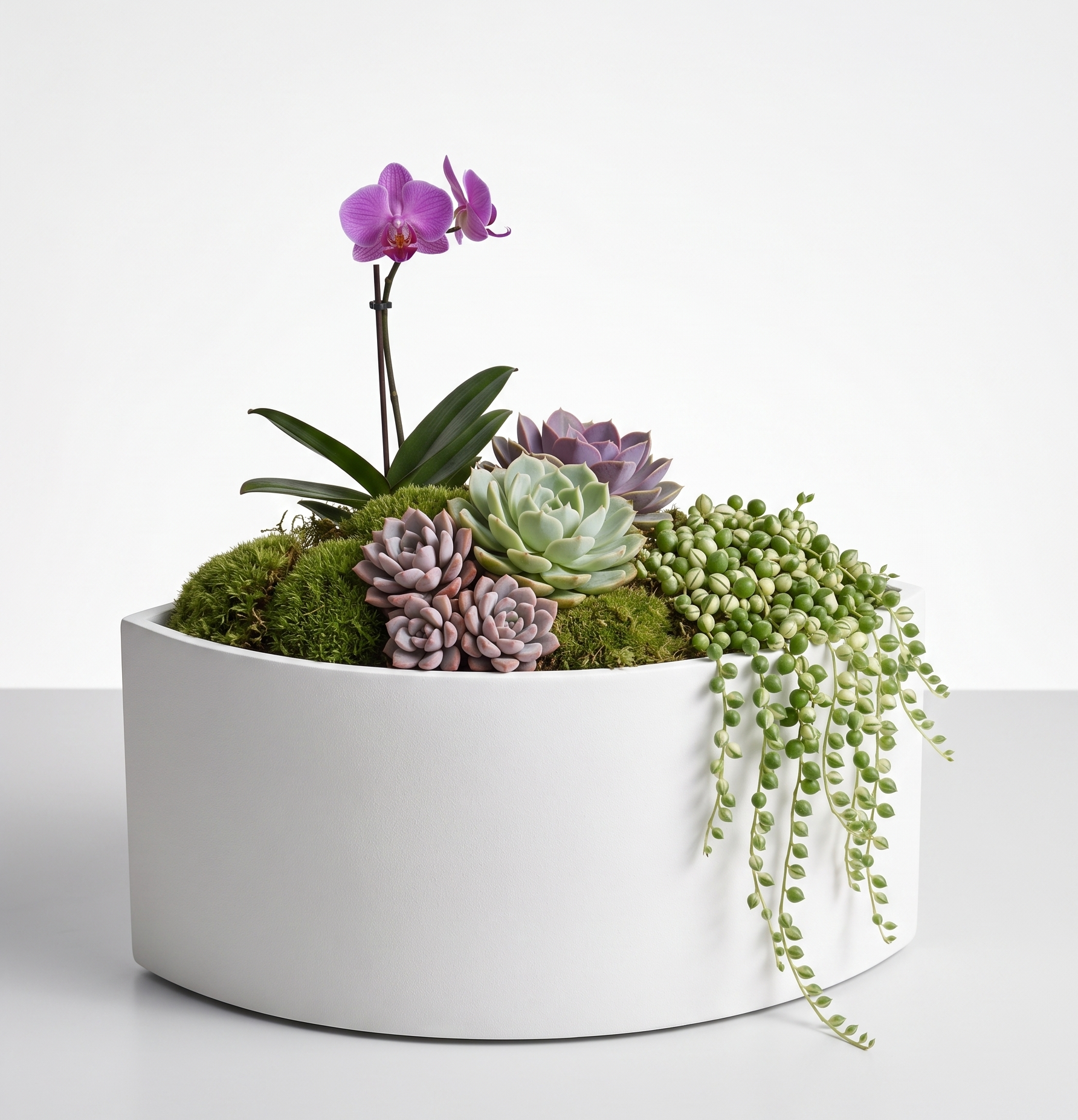 FRP Planter Sinuous -1 