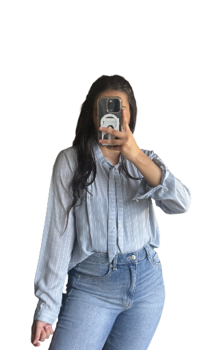 Light Blue Pinstripe Blouse