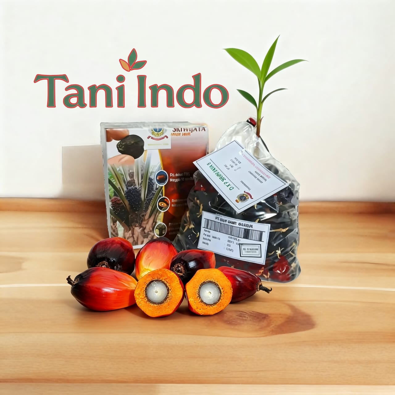 Bibit Kecambah Sawit sriwijaya5