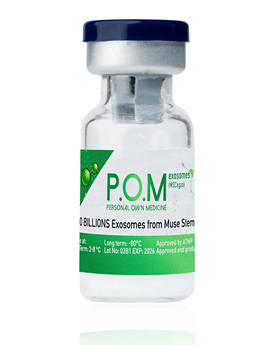 Экзосомы из стволовых клеток Muse MSC, полученных из плаценты (вартонового студня) – 100 миллиардов