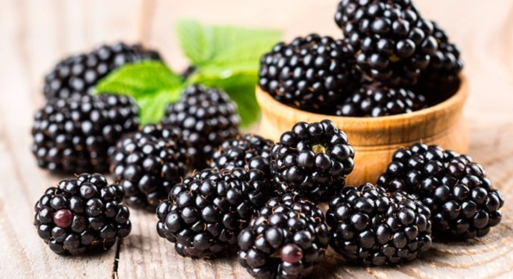 Maumelada de Zarzamoras Extra