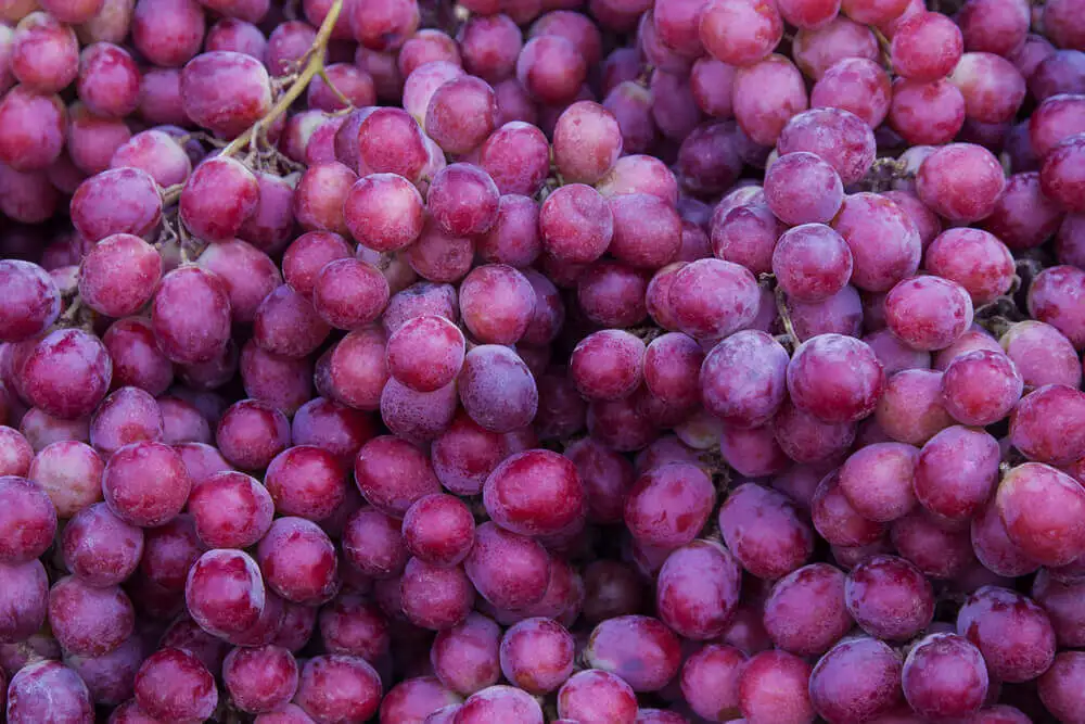 Maumelada de Uvas Moradas Extra