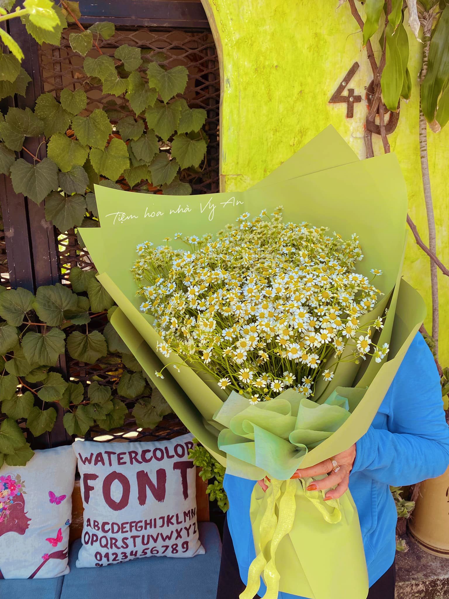 Bouquet of Fresh Chamomile Flowers