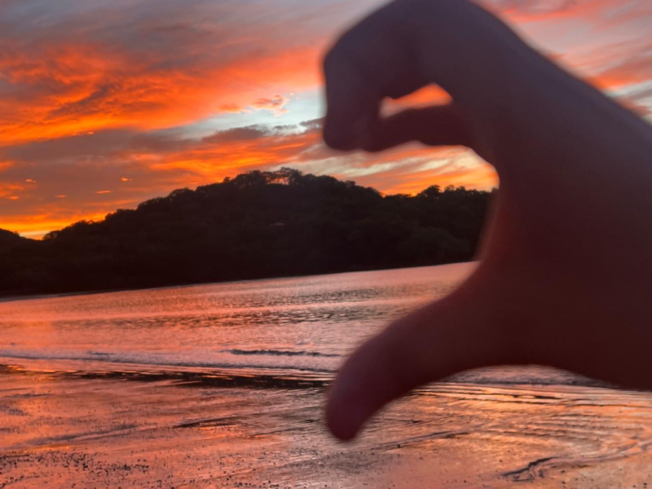 Reiki Energy Healing Consultation