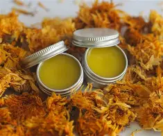 Healing Herbal Salve