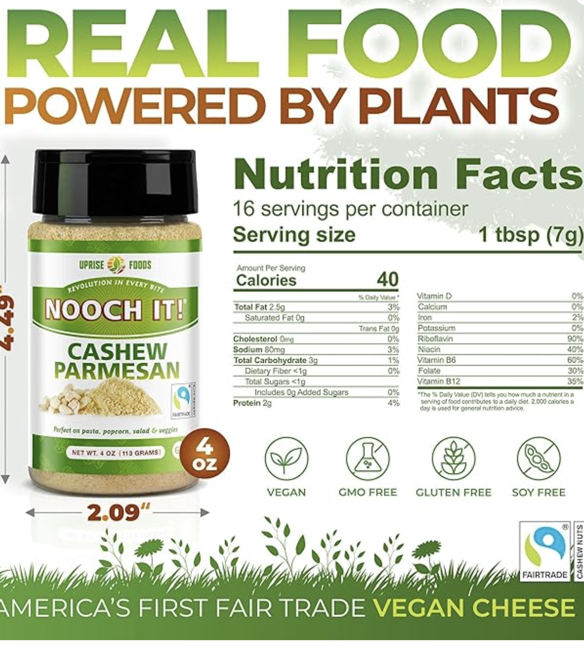 Queso parmesano de anacardo