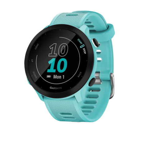 Montre connectée Garmin Forerunner 55