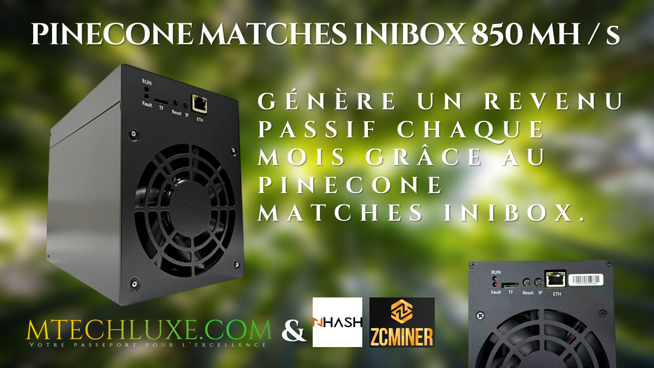 Pinecone Matches Inibox 850 MH/s