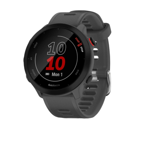 Montre connectée Garmin Forerunner 55