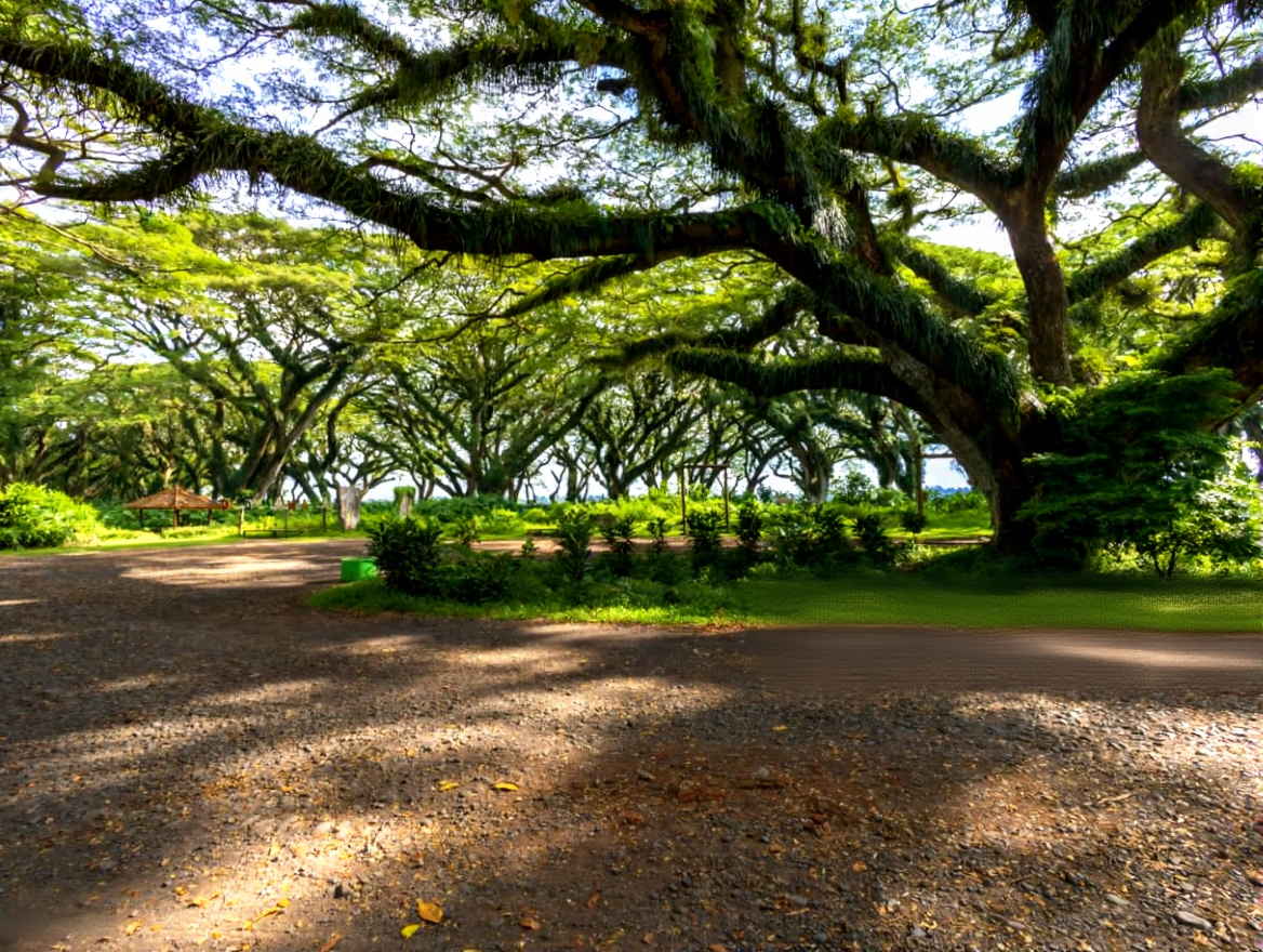 Bali to Java overland tour