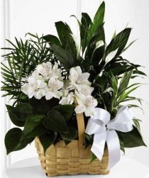 Elegant White Flower Basket