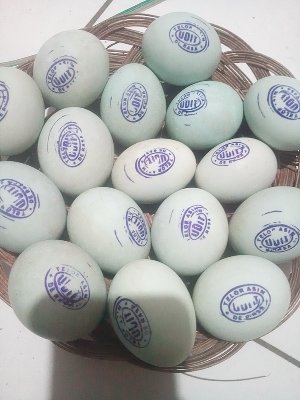 Telur Asin