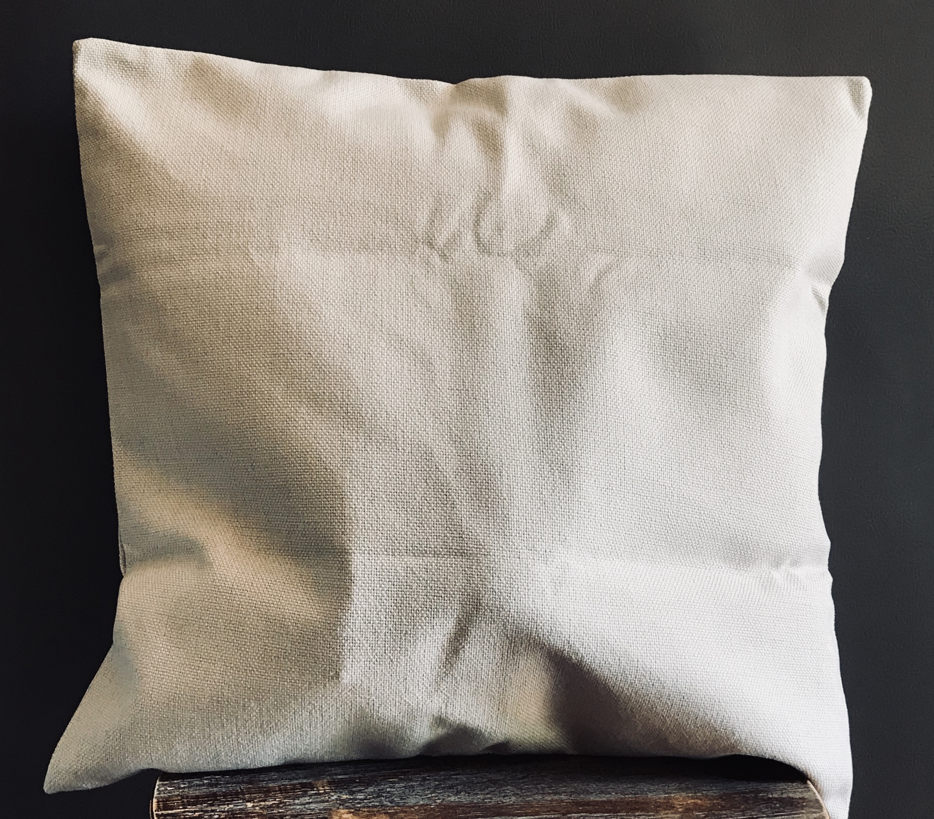 Coussin décoratif ours