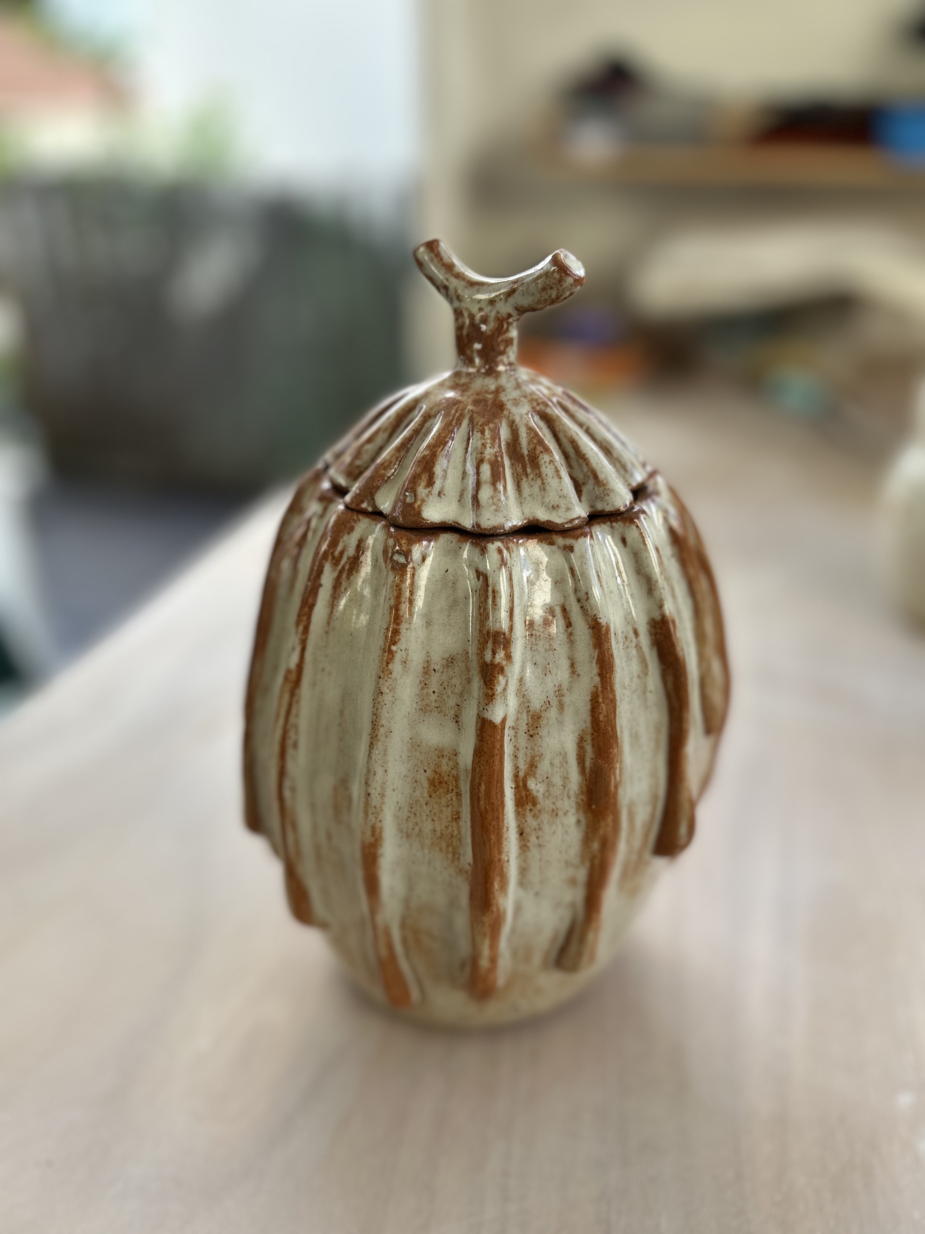 Handcrafted Ceramic big canister