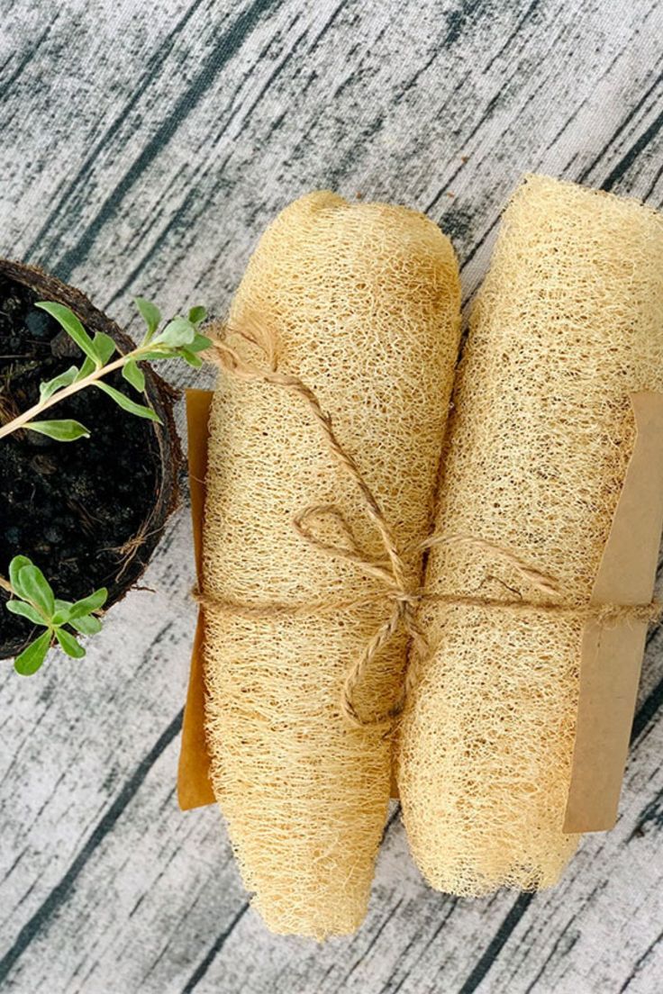 Adonai Natural Loofah