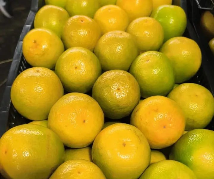 Laranja Pêra (kg)
