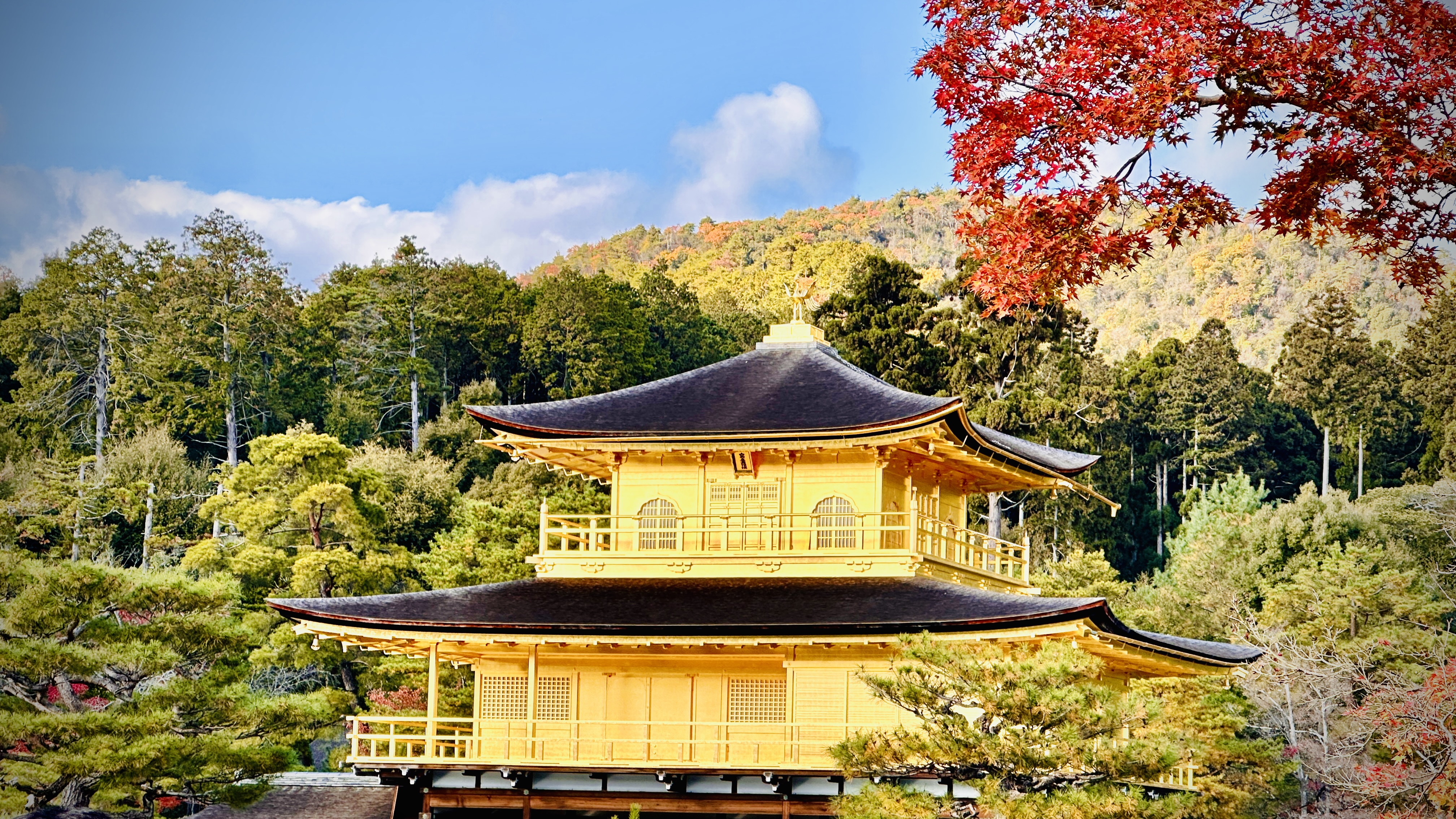 Kinkaku-ji Golden Pavilion Model