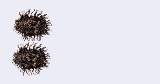 Curly Hair Extensions