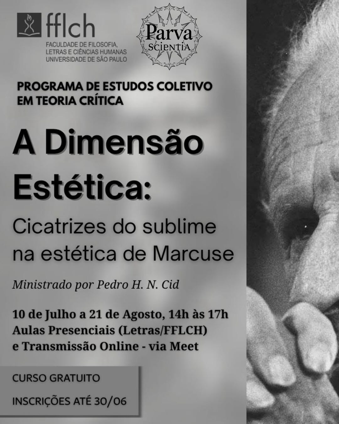 A Dimensão Estética