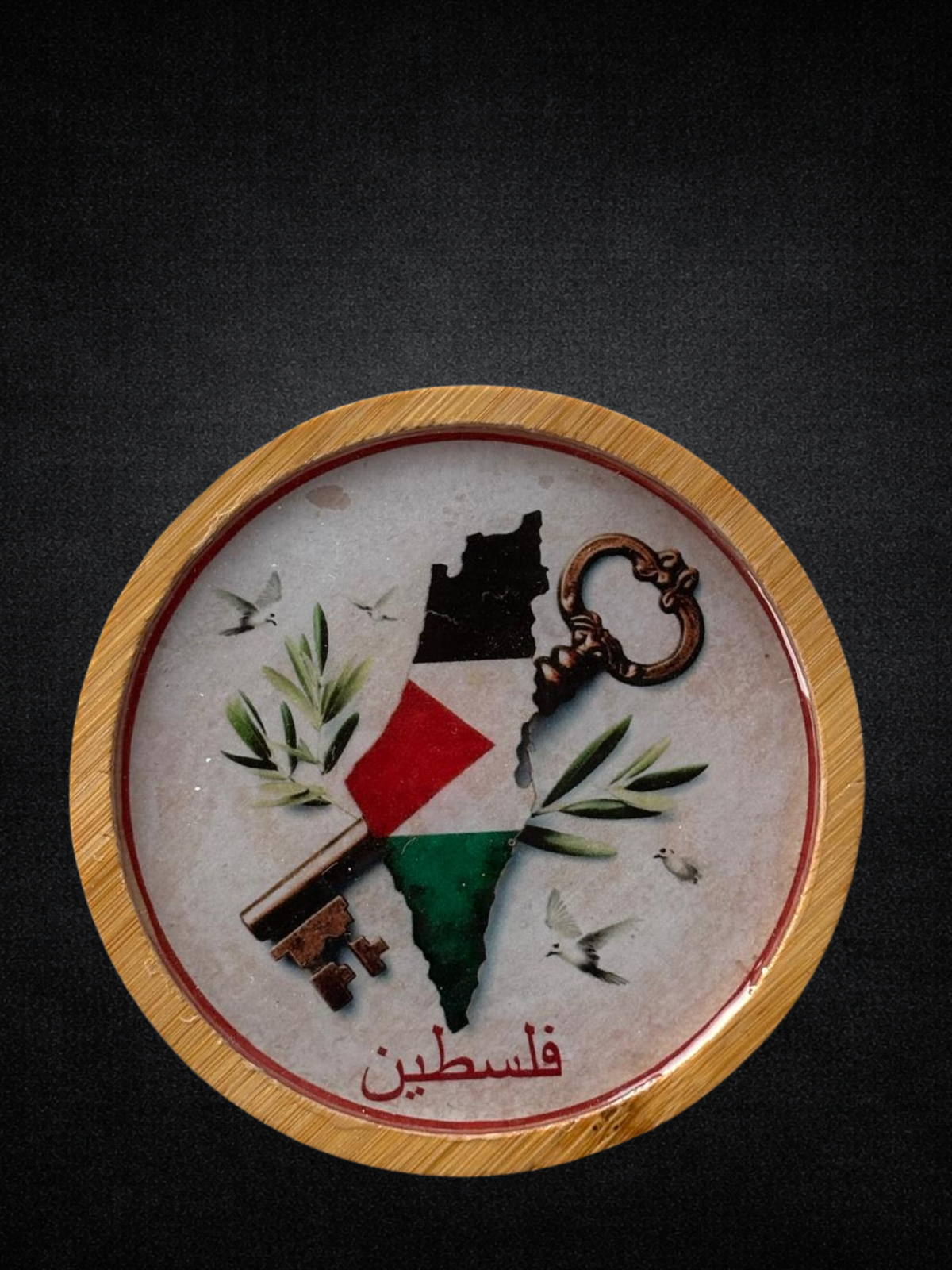 Palestine-Themed Decorative Plate