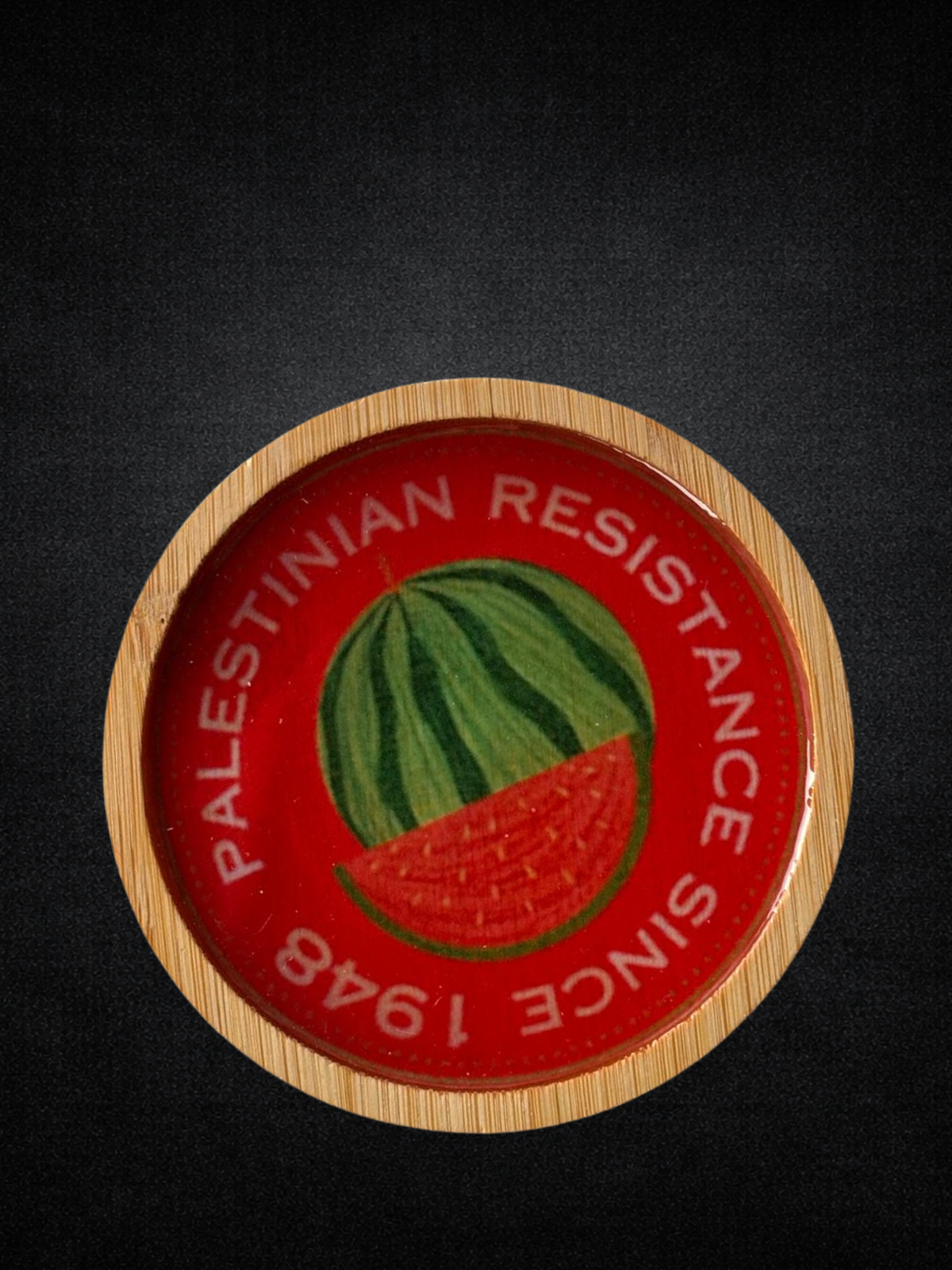 Palestinian Resistance Since 1948 Pin
