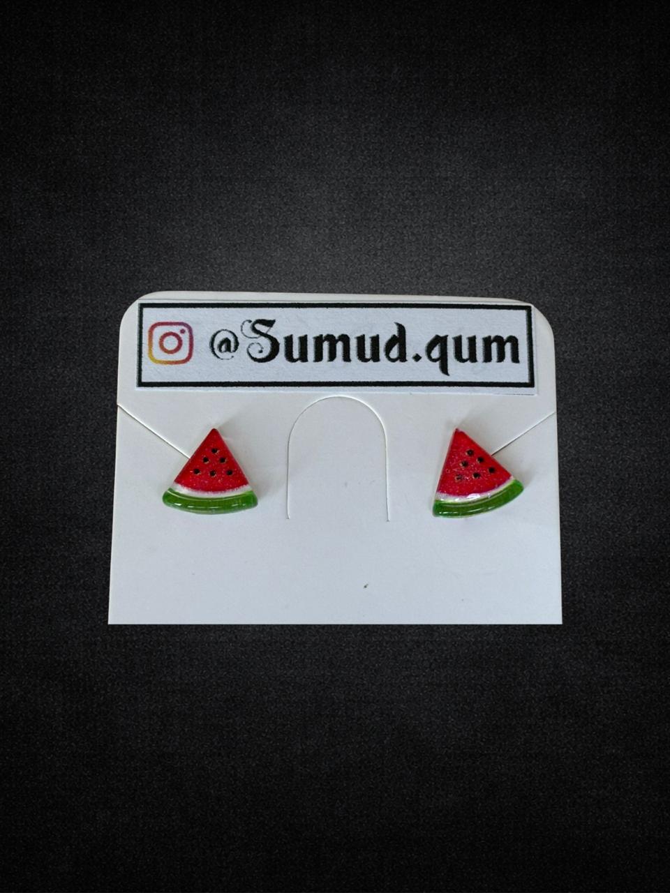 Watermelon Slice Stud Earrings