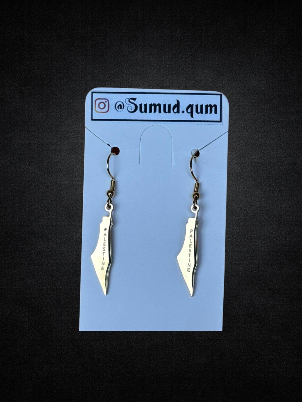 Blade-Shaped Earrings
