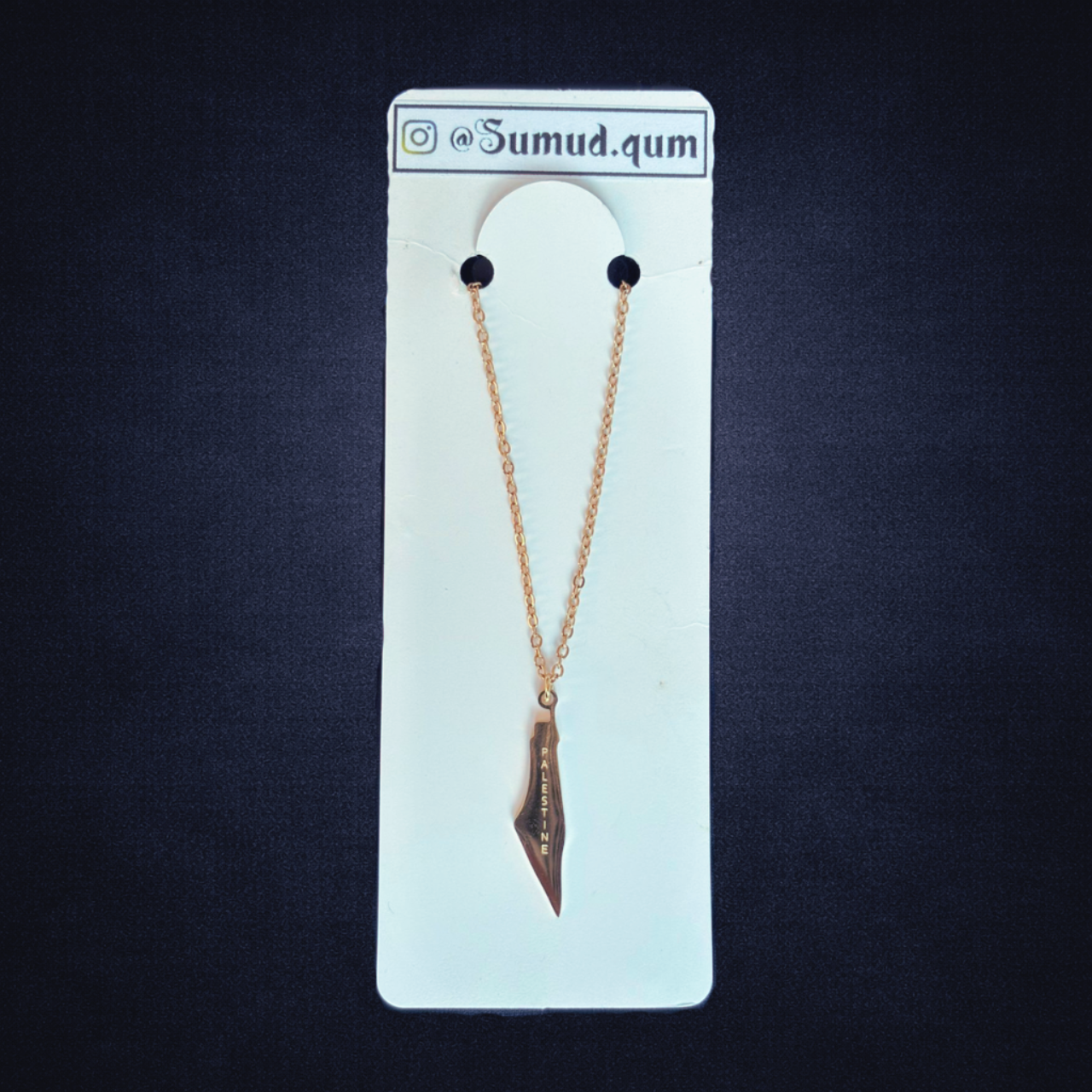 Collar Dorado Mapa Palestina | Coleccion Sumud