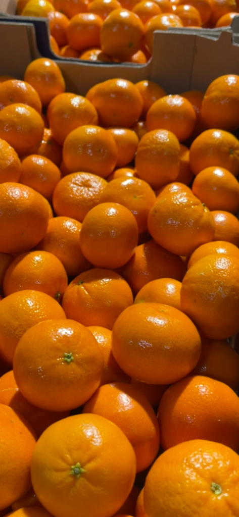 Tango Mandarins