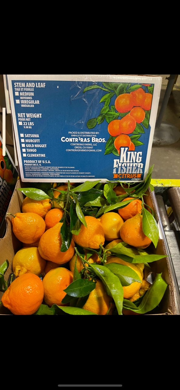 SEASONAL Mandarins