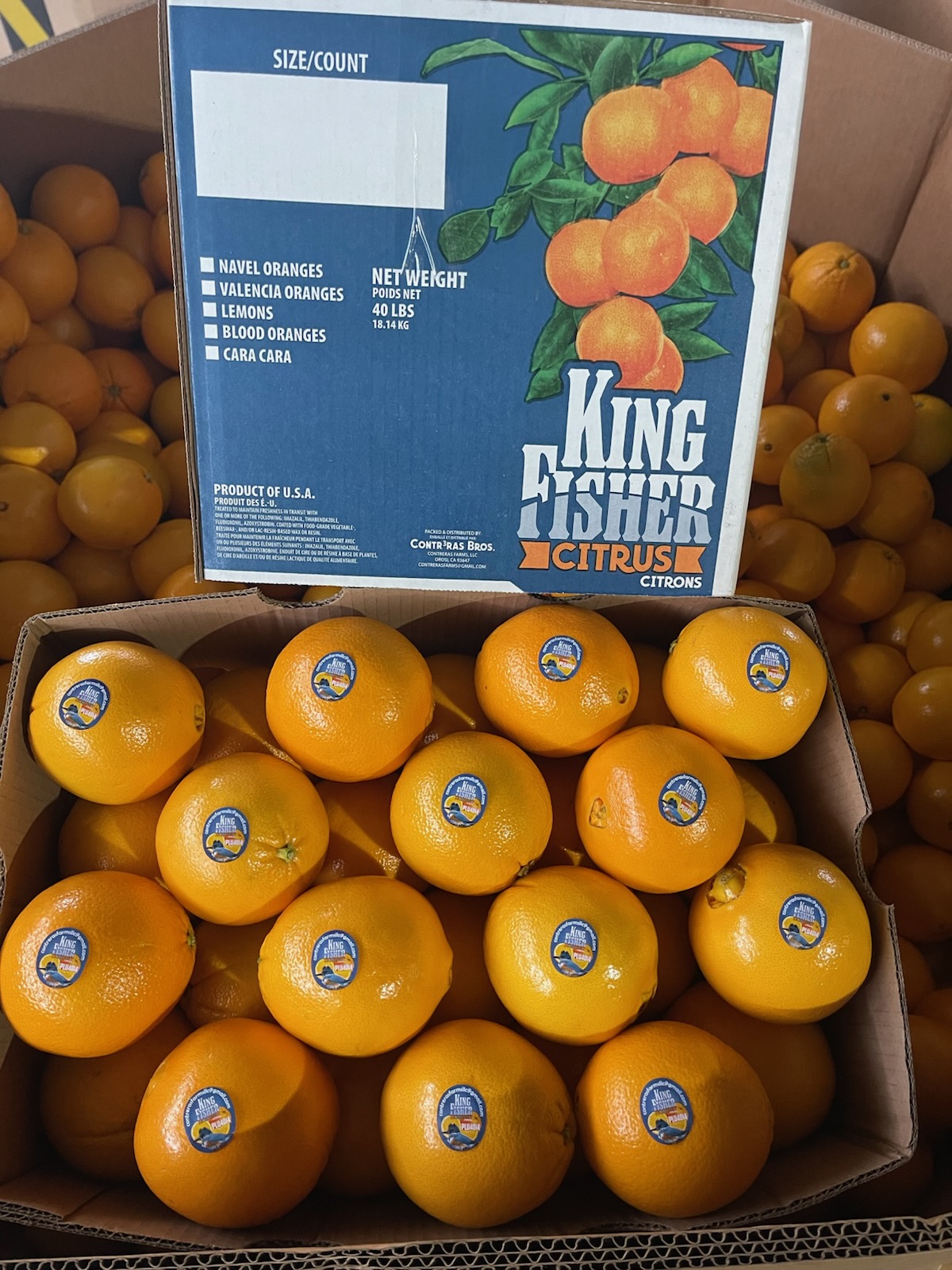 Navel Oranges