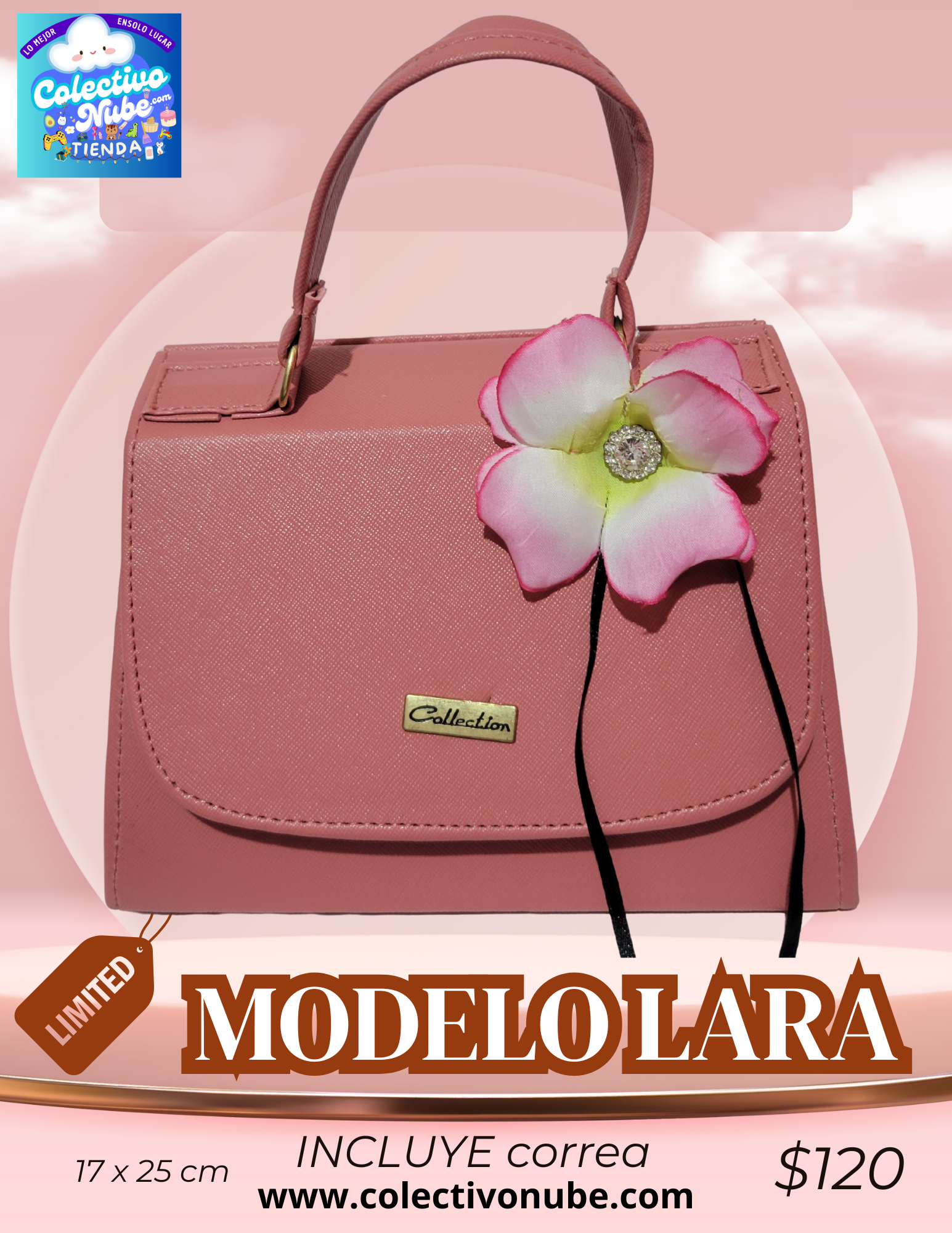 Bolso Modelo Lara