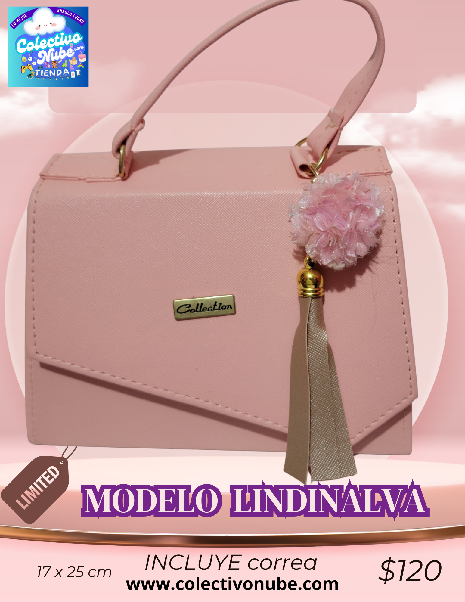 Bolso modelo Lindinalva