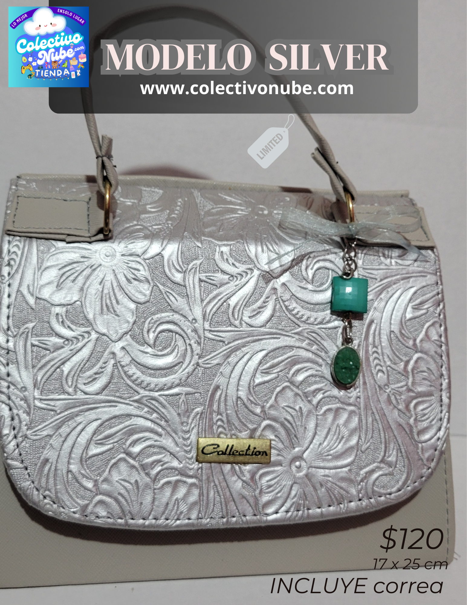 Bolso Modelo Silver