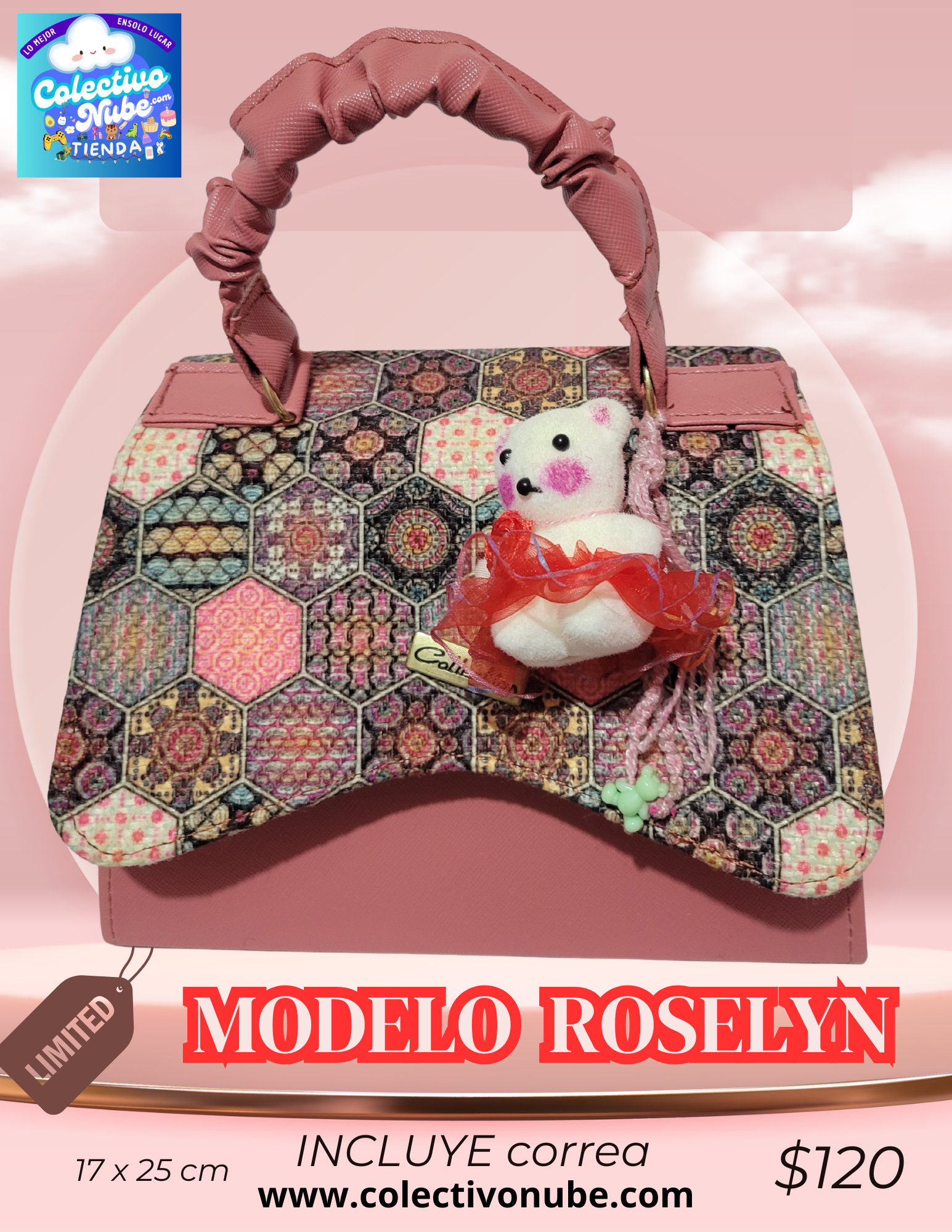 Bolso Modelo Roselyn